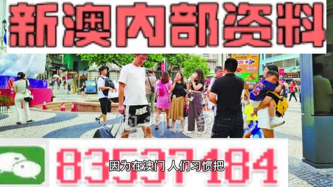 2024新澳精准资料免费提供下载|精选解释解析落实