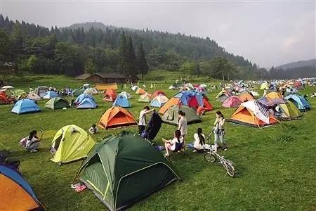 广州欢乐森林露营，一次亲近自然的户外探险之旅