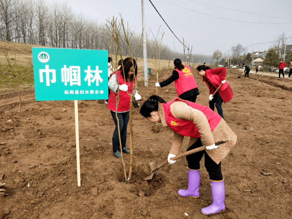 北京奥林匹克公园捡垃圾，守护绿色家园的行动力量