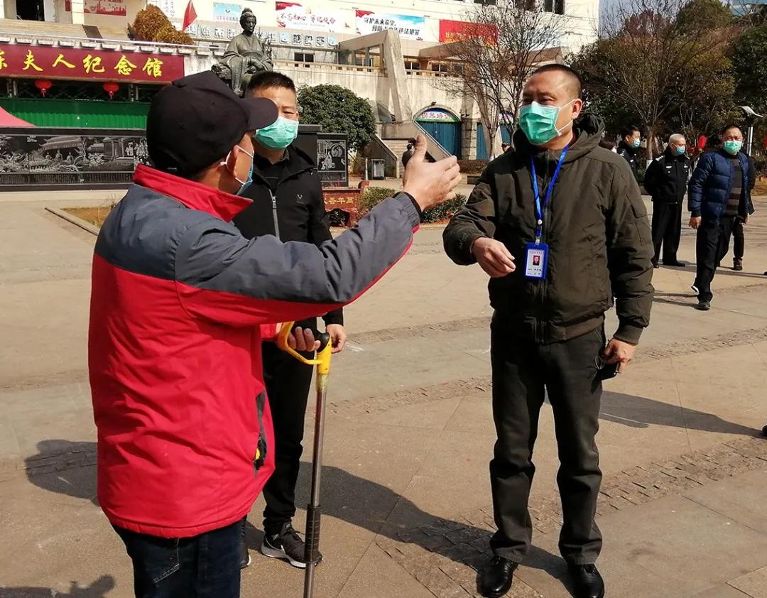 绿植盆栽室内养护技巧，打造无虫害的客厅绿洲