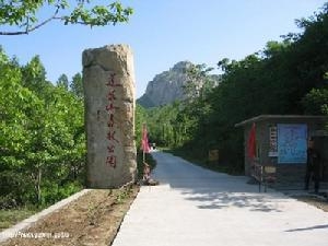 广州莲花山森林公园露营之旅