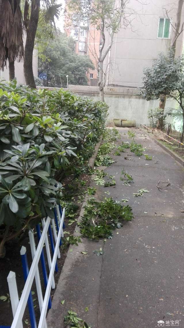 花卉绿植盆栽与室外花园的魅力