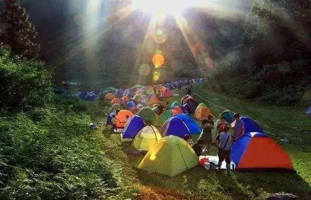 铁山坪森林露营烧烤基地，探索自然与美食的完美结合