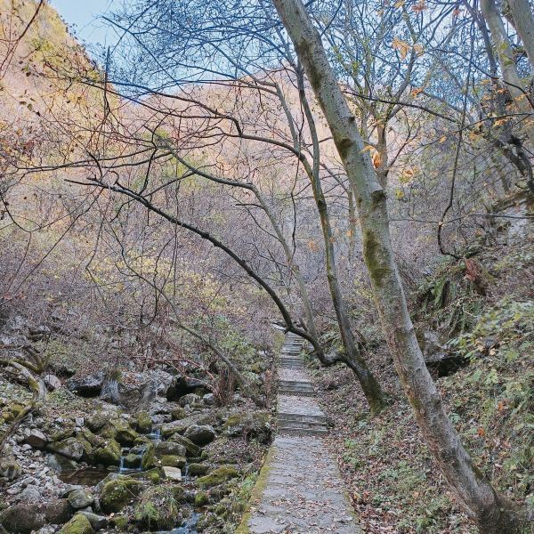 祥峪森林公园烧烤露营之旅攻略，如何前往目的地