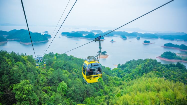 千岛湖地址码查询指南