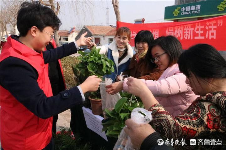 室内绿意盎然，木绿植盆栽的魅力与养护