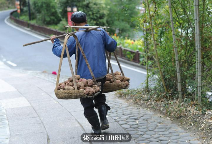 千岛湖观景台地址，探索美丽的绝佳地点