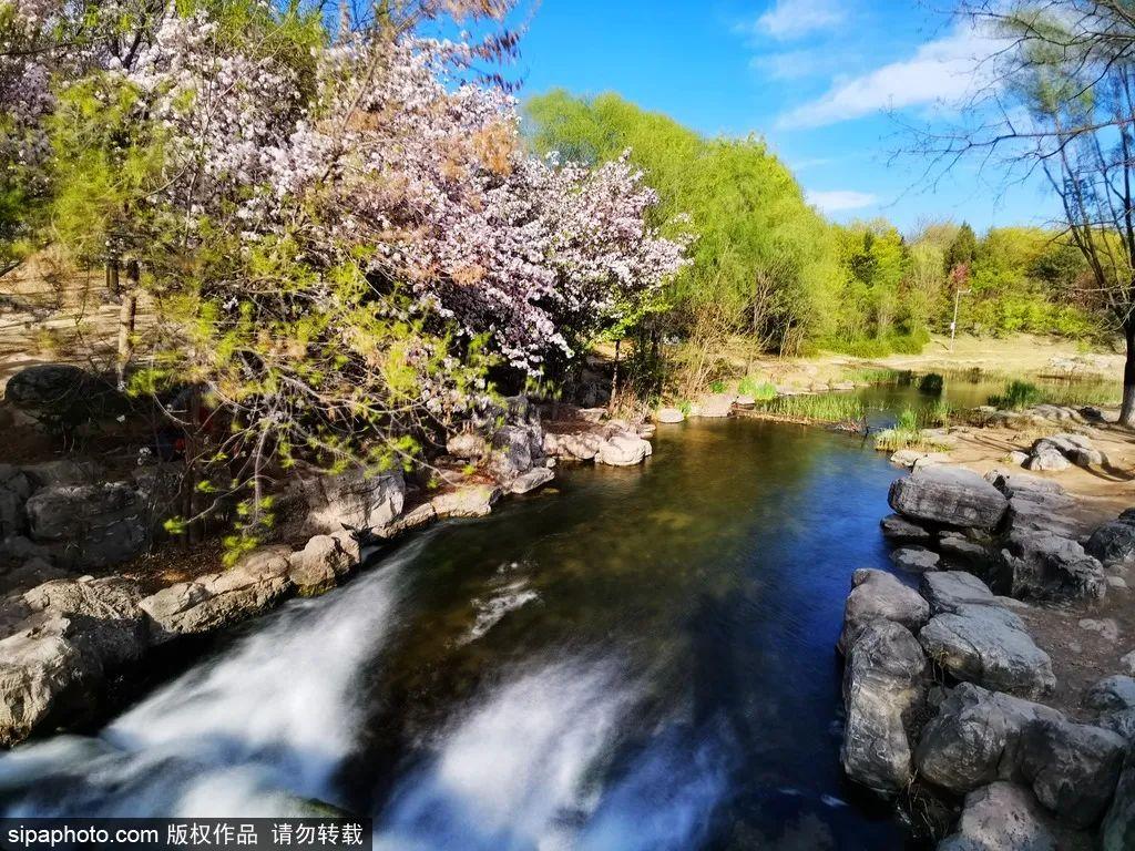 北京奥林匹克公园珍稀鸟类，自然与文化的和谐共生