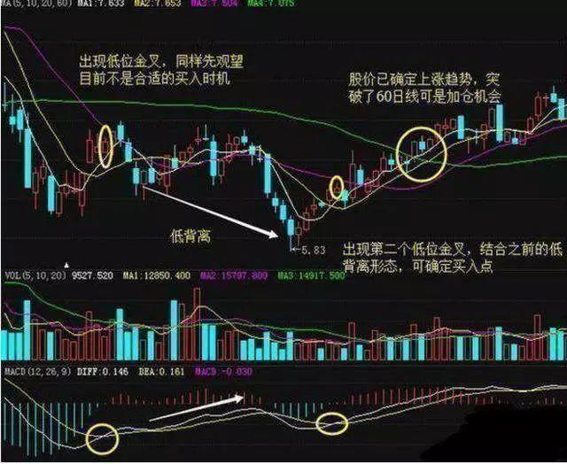 大力马主线与PE线连接的技巧探讨