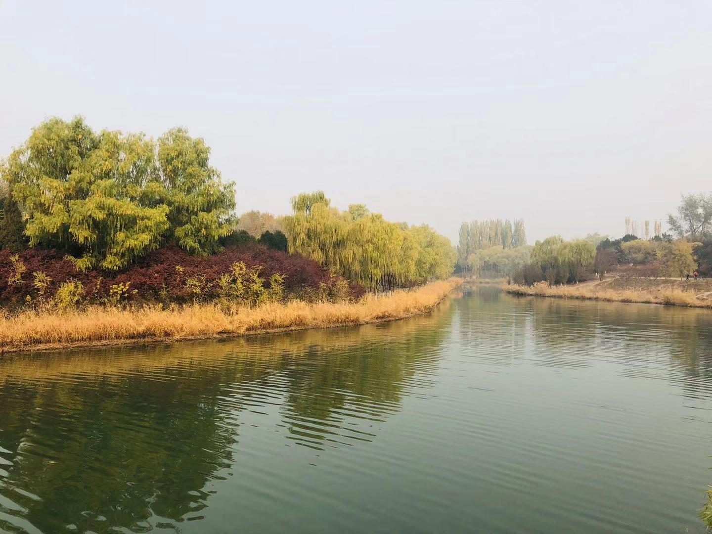 北京奥林匹克公园灯光，璀璨夜景下的城市魅力