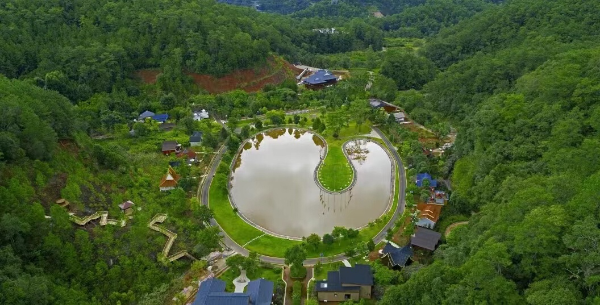 千岛湖植物园，自然之美的聚集地