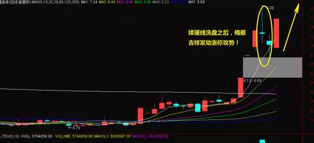 大力马PE线在钓鱼领域的应用，链接主线的重要性与技术探讨