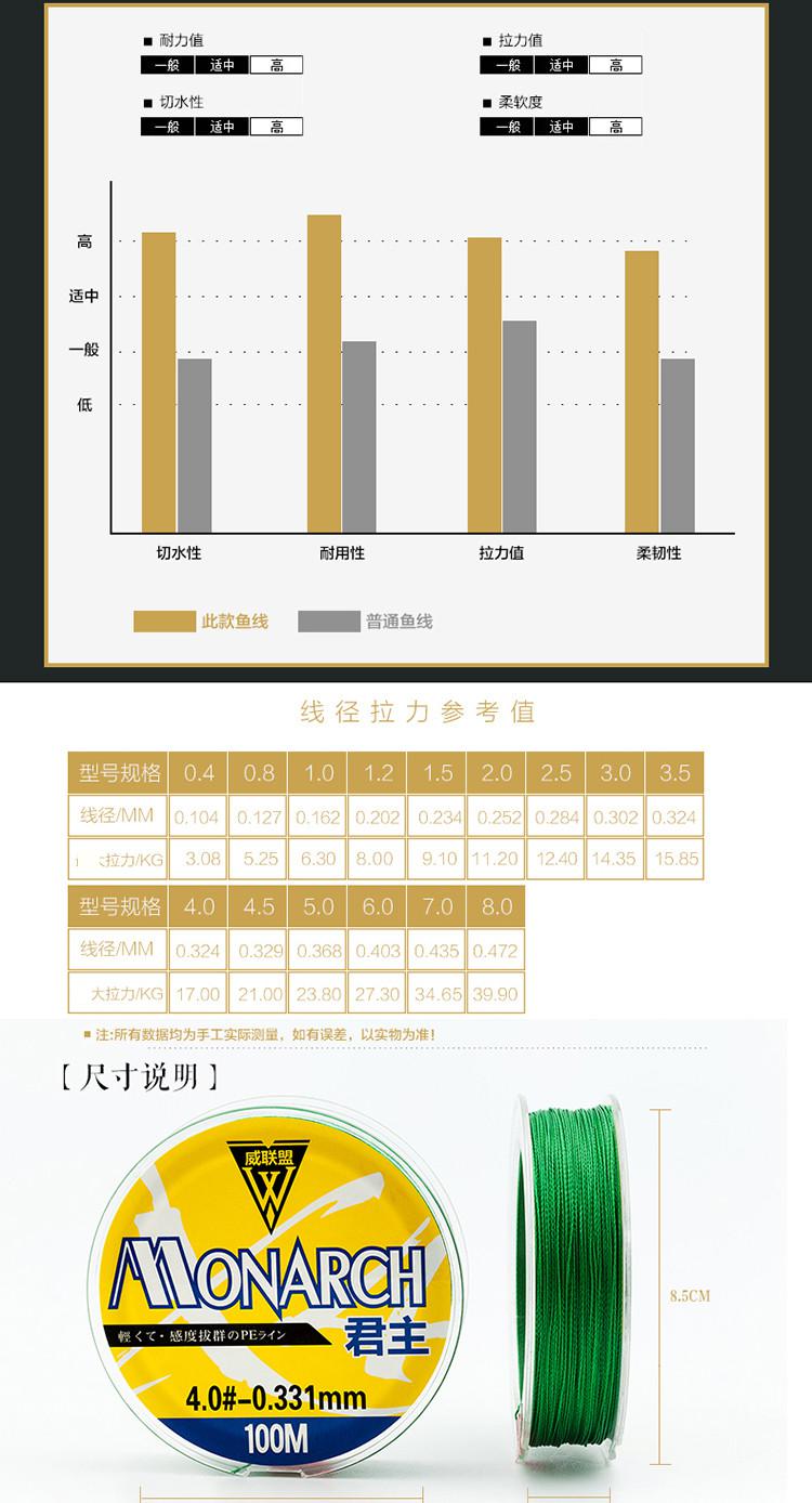 探索8.1米主线大力马线的奥秘与应用