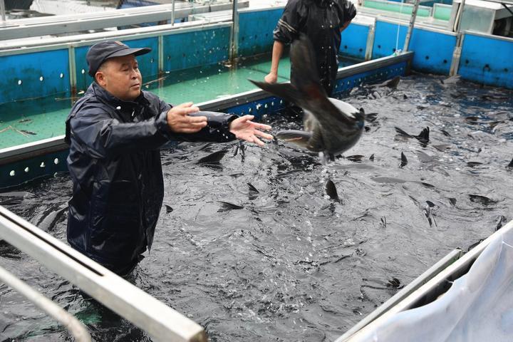 千岛湖威坪地址的独特魅力与探索之旅