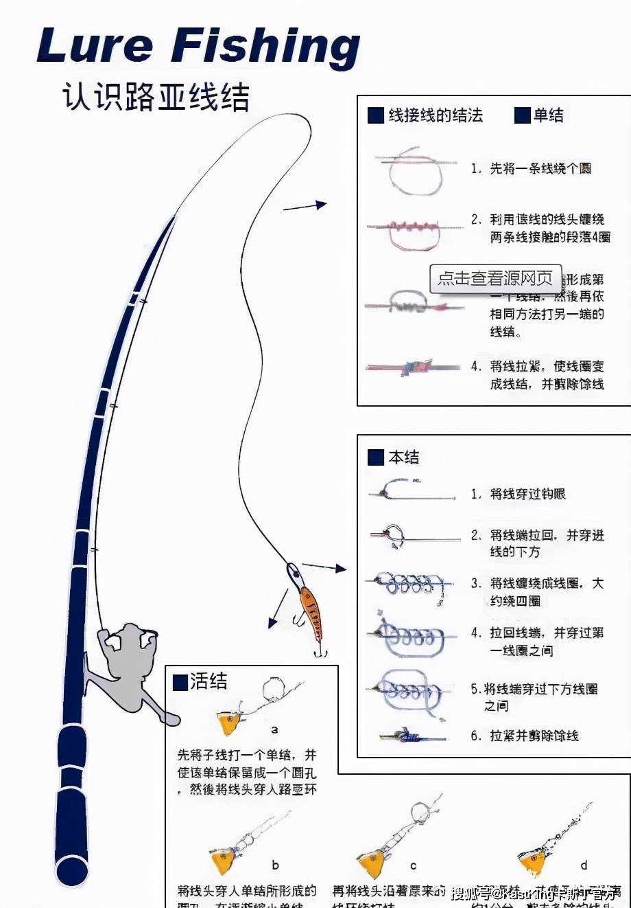 大力马主线尼龙线，垂钓领域的革新与优势