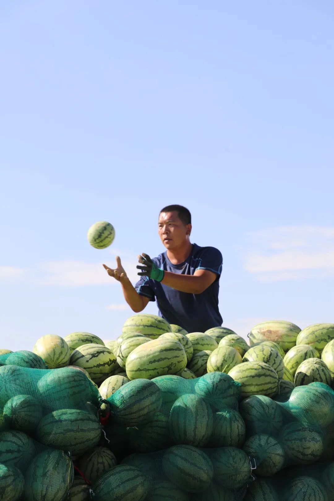 吃瓜群众在线吃瓜，网络时代的围观文化