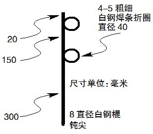 用几号大力马线做主线好，深度解析与选择建议