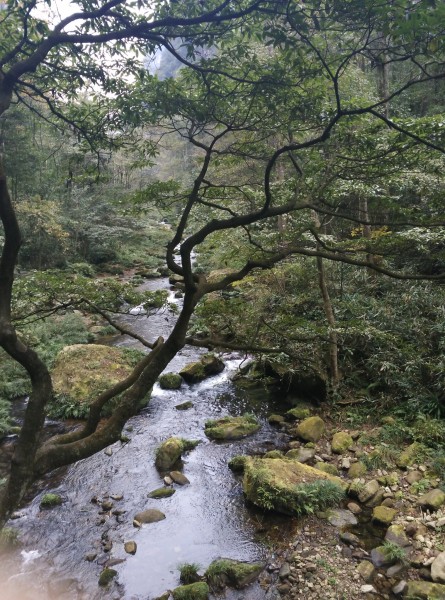 百草坡森林公园露营烧烤，亲近自然的极致体验