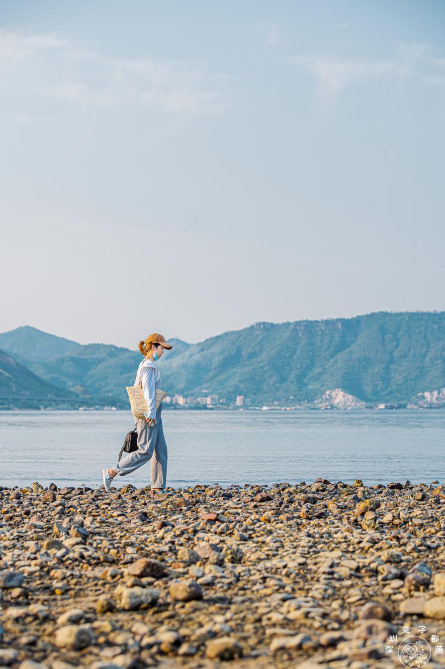 深圳森林免费露营地，探索自然的新天地