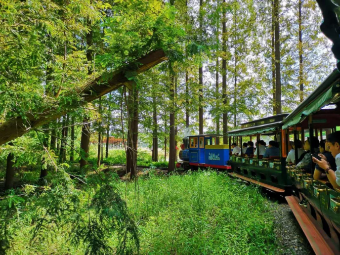 风云岭森林公园野餐露营之旅