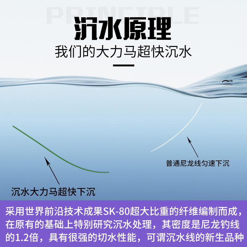 鱼线大力马沉水主线，深度解析与应用指南