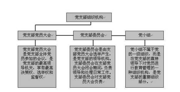 党支部政治功能的全面解读