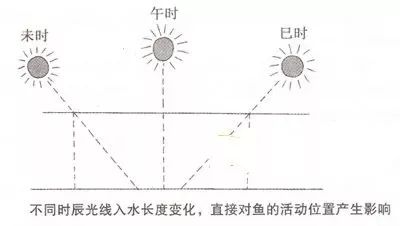 鱼线主线大力马手杆线，钓鱼中的关键要素与选择技巧