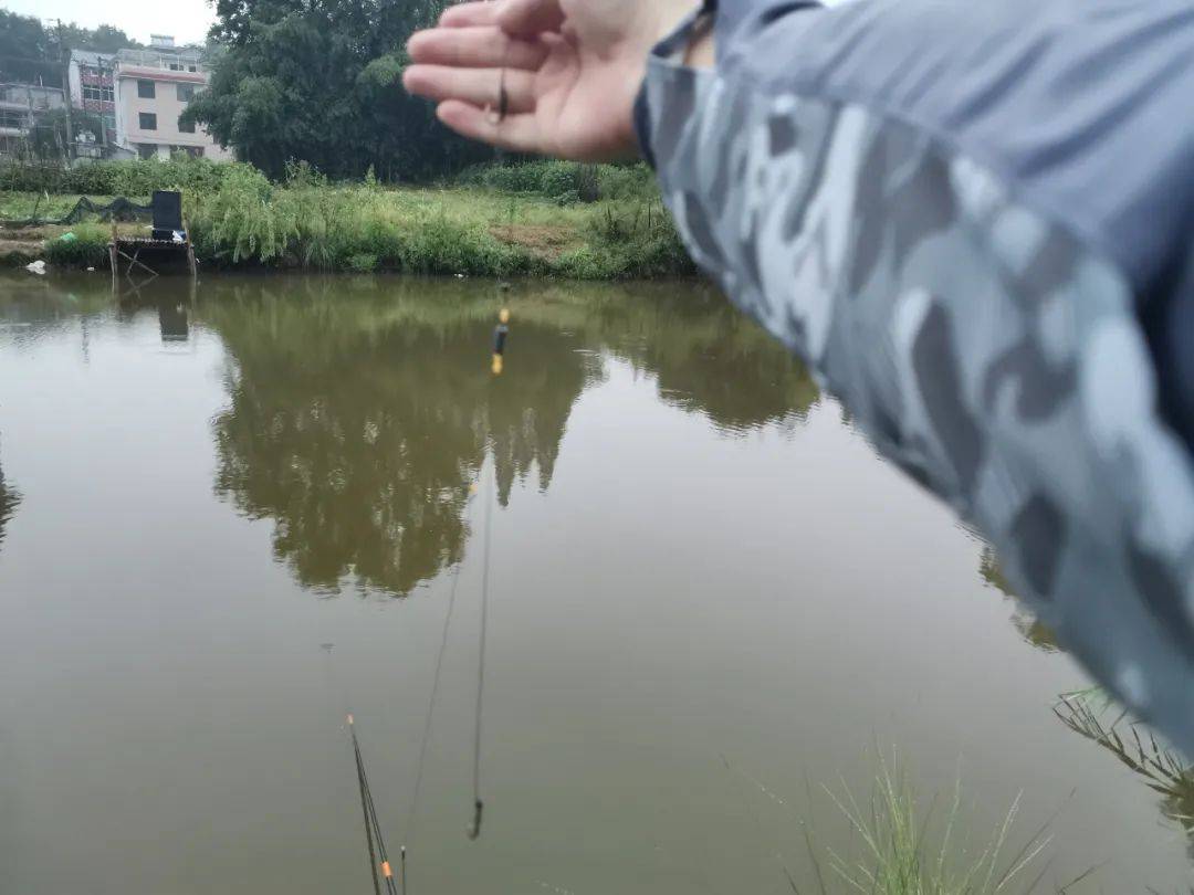 大力马主线双钩巨物线组，垂钓巨物的利器