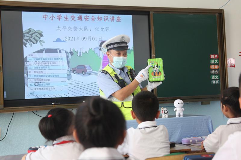 魔法森林露营烧烤，一场别开生面的自然探险之旅