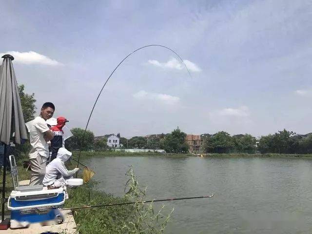 大力马鱼线在垂钓领域的应用，主线的首选