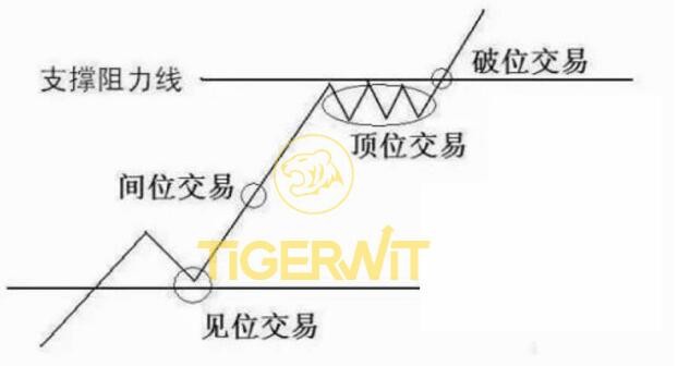 大力马主线与子线的选用策略，如何确定最合适的线号大小