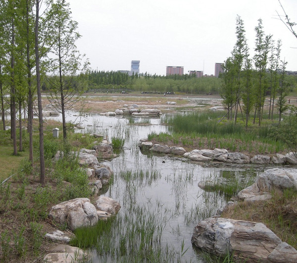 北京奥林匹克公园，一幅活力四溢的画卷