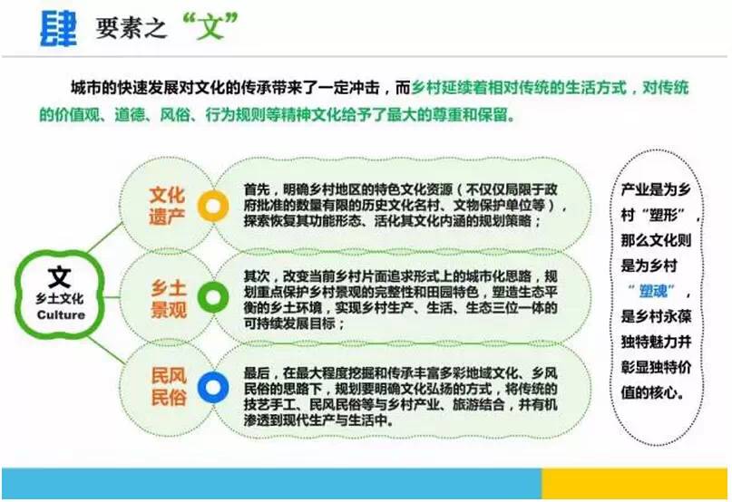 碳心大力马主线成品线组，革新钓鱼技术的核心要素