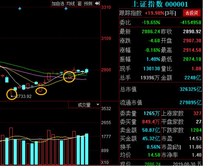 正宗进口大力马线主线，品质、性能与应用领域探讨