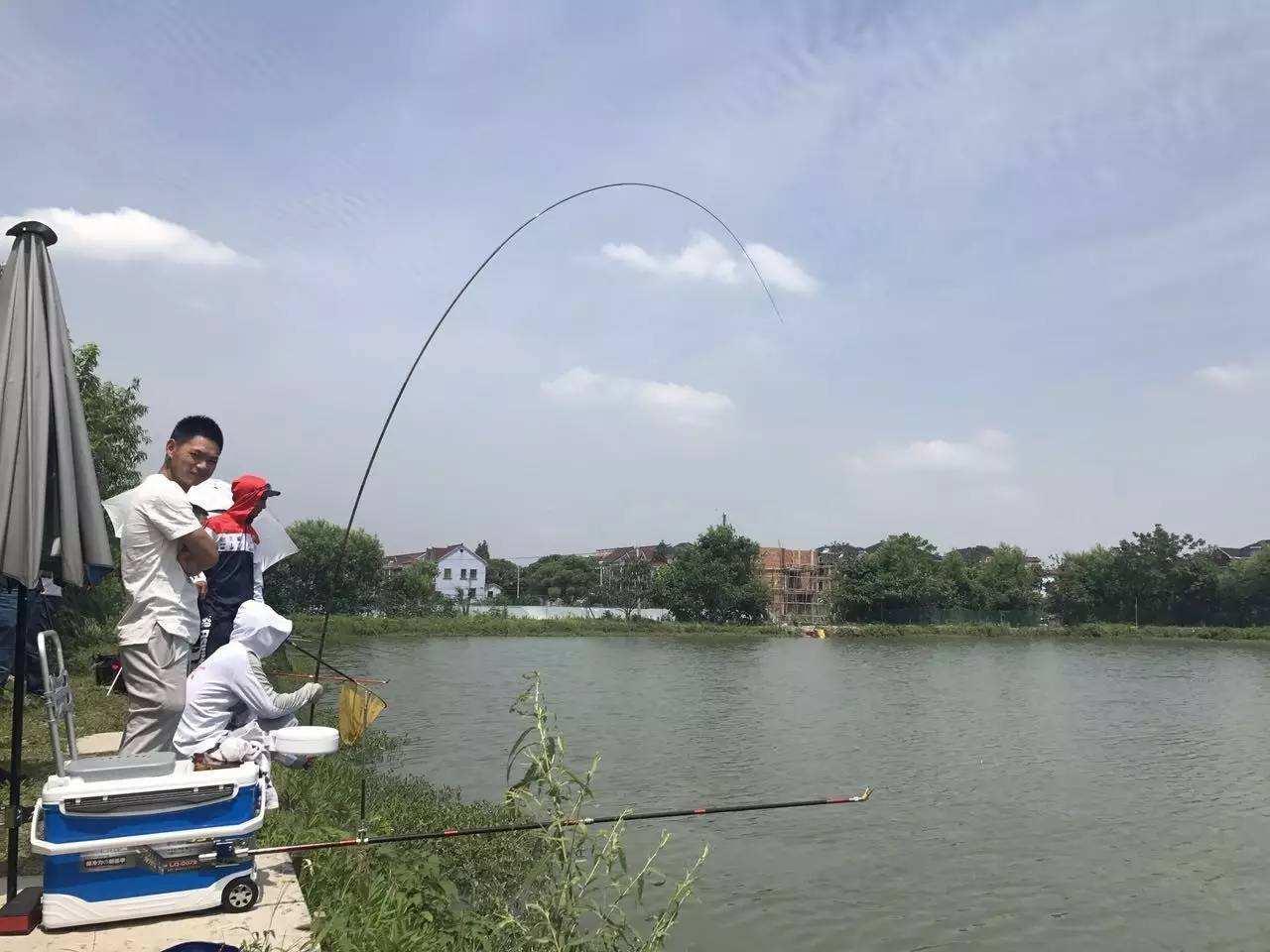 大力马主线配普通子线，钓鱼中的优势与策略