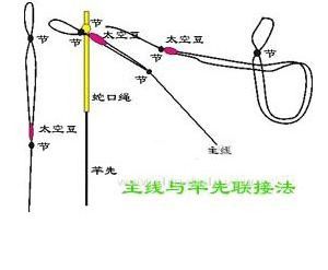 大力马鱼线5.0主线，钓鱼中的得力助手