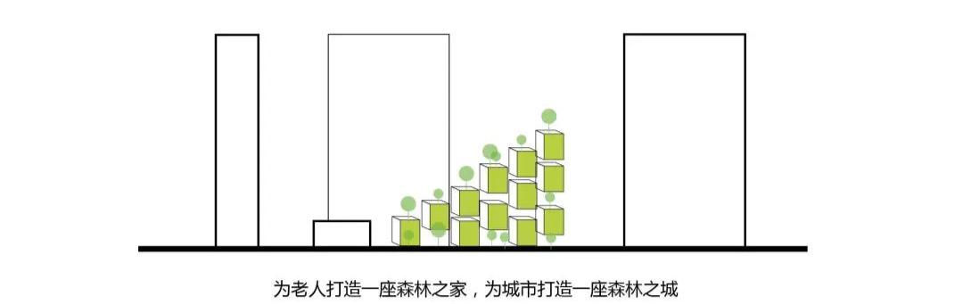 龙岗室内盆栽花卉大绿植，美化家居，增添生活情趣