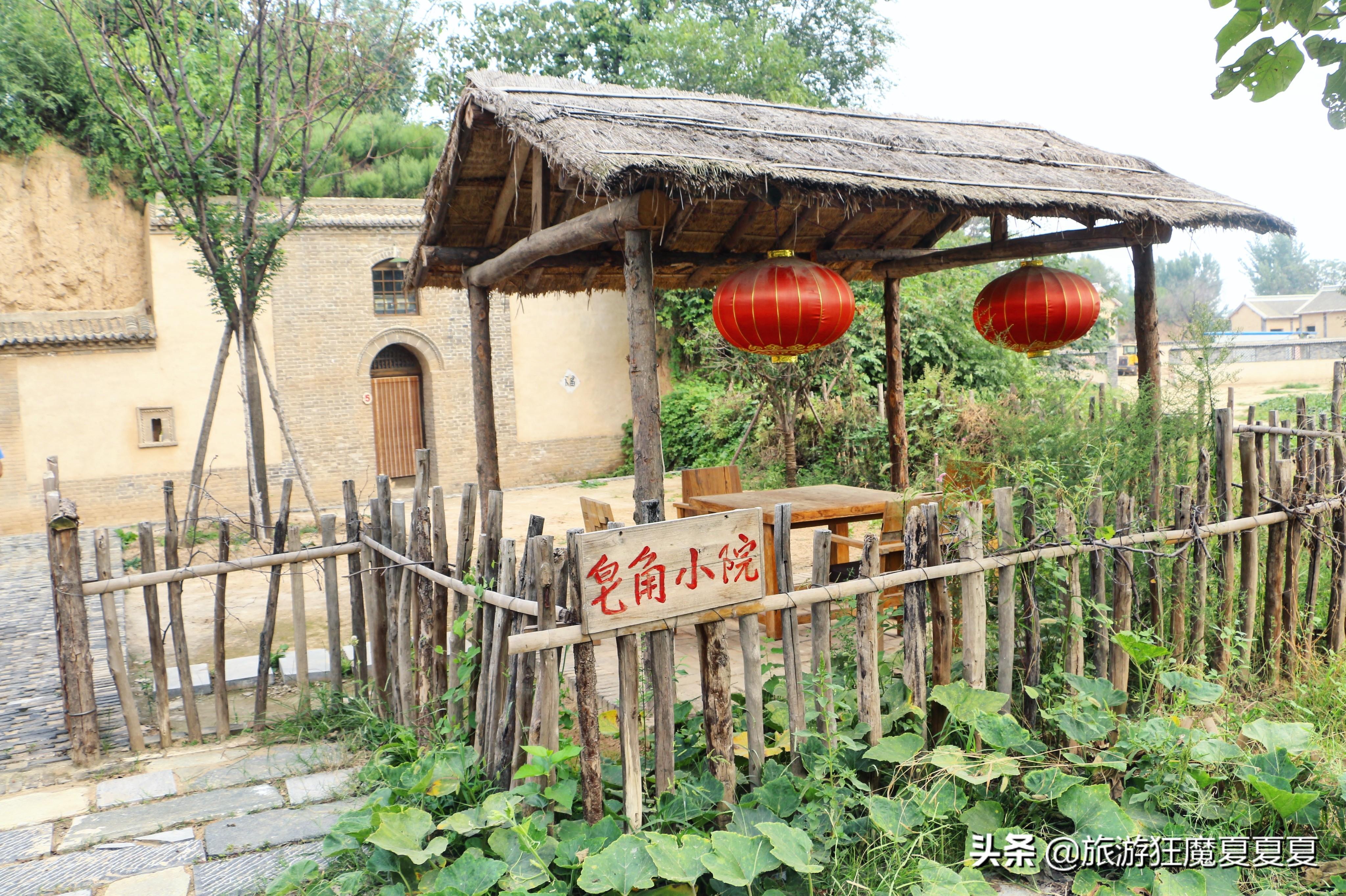 绿植盆栽室内格挡，美化家居的新选择